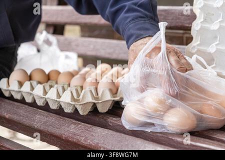 Hand, die eine Plastiktüte mit frischen braunen Eiern neben einem Karton auf einer Holzbank hält, repräsentiert die kleinteilige Lebensmittelproduktion, den lokalen Handel a Stockfoto