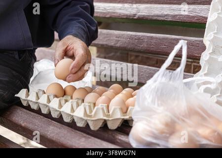 Reife Hand nimmt ein rohes Ei aus einem gefüllten Eierbehälter auf einer Parkbank, betont natürliche Ernährung, lokale Beschaffung und die einfachen Freuden des Landes Stockfoto