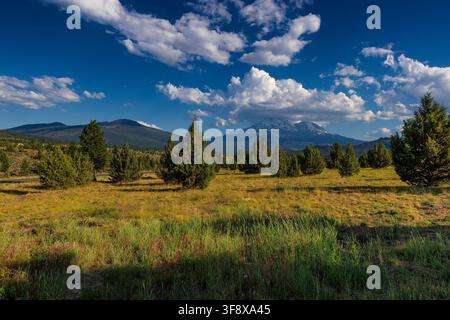 Mt. Shasta und der Satellitenkegel Shastina Stratovulkan erheben sich hoch im Hintergrund der Hochlandlandschaft, gesehen von der Highway 97 im Norden Kaliforniens Stockfoto