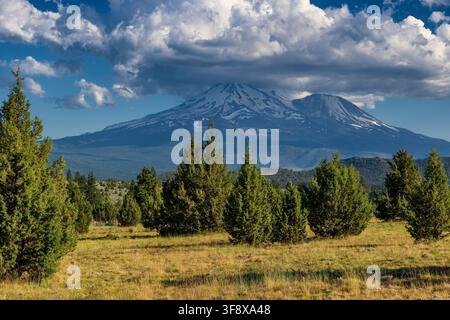 Hochwüstenlandschaft mit Mt. Shasta und Satellitenkegel Shastina, die majestätisch im Hintergrund aufragen, ihre Gipfel von Wolken bedeckt. Stockfoto