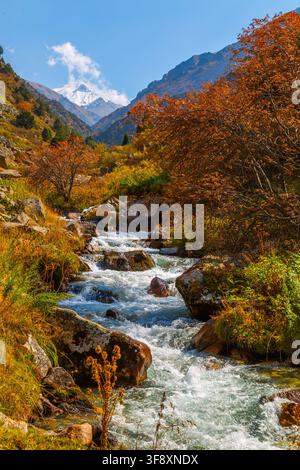 Lebendiger Gebirgsbach stürzt über Felsen in herbstlichem Laub. Schneebedeckte Gipfel erheben sich vor einem klaren blauen Himmel und zeigen die Schönheit der Natur. Stockfoto