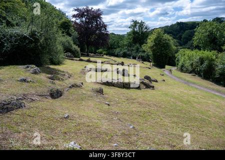 Steinelemente und Grasland in einer abschüssigen archäologischen Landschaft am Lough Gur in der Grafschaft Limerick, Irland. Stockfoto