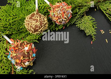 hausgemachter Candy-Cake-POP in Milchschokolade mit mehrfarbigem Belag auf einem dunklen Hintergrund mit einem Zweig Thuja Stockfoto