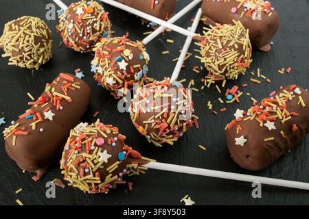 hausgemachter Candy-Cake-POP in Milchschokolade mit mehrfarbigem Belag auf einem dunklen Hintergrund mit einem Zweig Thuja Stockfoto