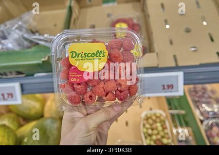 Driscoll's-Packung mit Himbeeren in einer Plastikbox von Driscoll mit roten Himbeeren wird in der Hand gehalten, Obstregal, frisches Obst im Supermarkt kaufen, kaufe i Stockfoto