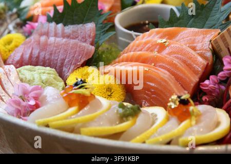 Eine Auswahl an hochwertigem japanischem Sashimi inklusive Lachs, Thunfisch und Jakobsmuscheln, verziert mit Zitronenscheiben und Blumen. Stockfoto