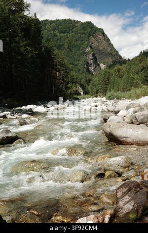 Schnell fließender Gebirgsfluss durch einen Wald Stockfoto