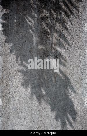 Vertikale Texturaufnahme, die einen deutlichen Schatten von Palmwedelblättern zeigt, der unter hellem Sonnenlicht über eine raue graue Betonwandoberfläche geworfen wird. Stockfoto