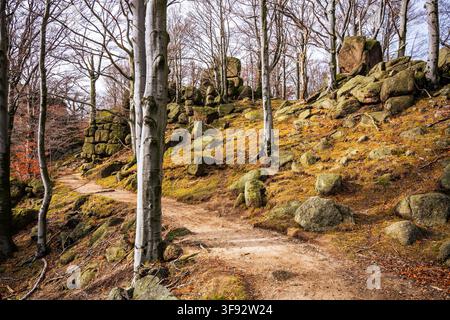 Ein Pfad windet sich durch ein Buchenwald in den Jizergebirgen nahe dem Felsen Oresnik. Herbstblätter bedecken den Boden, und Felsen säumen den Weg, während Wanderer die Landschaft genießen. Stockfoto