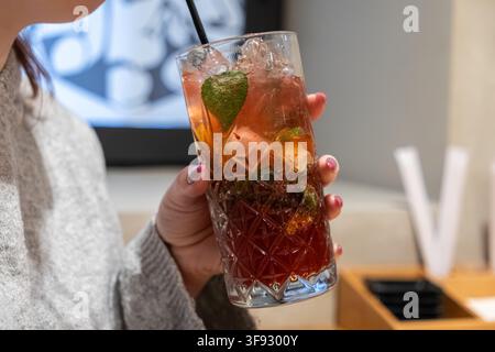 Nahaufnahme einer Hand, die ein gekühltes alkoholisches Getränk mit Eiswürfeln und frischen Kräutern hält, das ein Gefühl von Muße, Gastfreundschaft und Qualitätszeit vermittelt Stockfoto