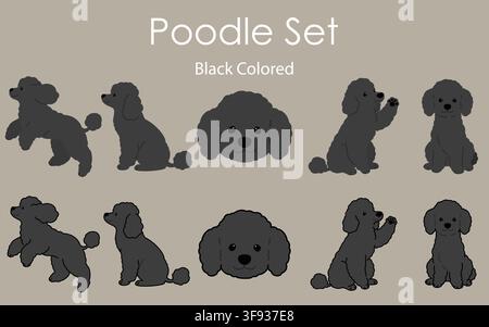 Einfache und bezaubernde schwarz gefärbte Pudel-Set-Illustrationen Stock Vektor