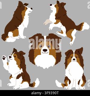 Einfache Illustrationen in flacher Farbe von Shetland Sheepdog Stock Vektor