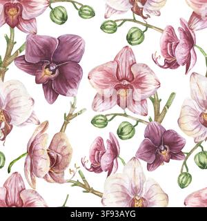 Aquarell-Orchideen-Blumen nahtloses Muster, handgezeichnete zarte tropische Blumenpapier-Illustration, tropischer Naturdruck, floraler Hintergrund Stockfoto