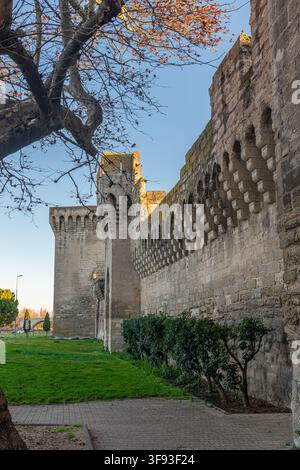 Ein Abschnitt der historischen Stadtmauer von Avignon (Remparts d'Avignon) in Frankreich. Stockfoto