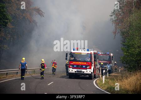 14. August 2026, Nordrhein-Westfalen, Hürtgenwald: Rettungskräfte kämpfen gegen das Waldbrand in Hürtgenwald entlang der B399. Foto: Harald Tittel/dpa Stockfoto