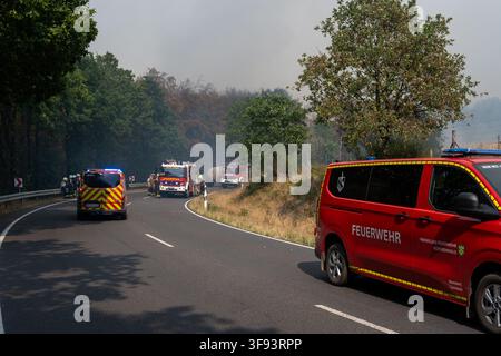 14. August 2026, Nordrhein-Westfalen, Hürtgenwald: Rettungskräfte kämpfen gegen das Waldbrand in Hürtgenwald entlang der B399. Foto: Harald Tittel/dpa Stockfoto