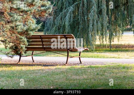 Eine leere Holzbank steht neben einem Parkweg im gefleckten Sonnenlicht, beschattet von ausgewachsenen immergrünen Bäumen und langen, herabhängenden Ästen. Stockfoto