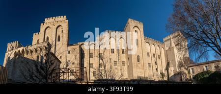 Der historische Papstpalast (Palais des Papes) in Avignon, im Süden Frankreichs. Stockfoto