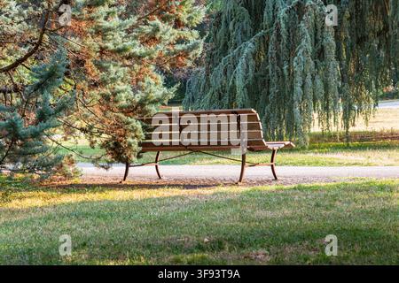 Eine leere Holzbank steht neben einem Gartenweg unter ausgewachsenen immergrünen Bäumen und bietet einen ruhigen, schattigen Platz zum Ausruhen und Entspannen. Stockfoto