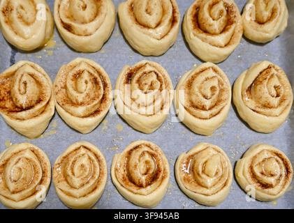 Kommerzielle Überkopfaufnahme von mehreren rohen, ungebackenen Zimtschnecken, die kunstvoll wie Rosen geformt sind und ordentlich in Reihen auf einem mit Backpapier ausgelegten Backblech angeordnet sind, bereit zum Backen. Stockfoto