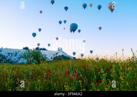 Im frühen Morgenlicht füllen farbenfrohe Heißluftballons den Himmel über Pamukkale, Türkei. Die einzigartigen weißen Travertin-Terrassen und üppige Wildblumen c Stockfoto