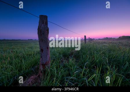 Alter Holzpfosten in grüner Wiese bei rosa-blauer Dämmerung Stockfoto