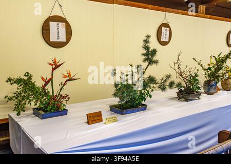 Schöne Blumenarrangements, die auf Tischen im Pavillon des Meiji Jingu-Schreins während einer Ausstellung in Tokio ausgestellt sind. Stockfoto