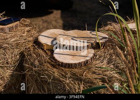 Rustikale Holzscheiben ruhen auf einem Heuballen mit Gras in einer Outdoor-Bauernhofumgebung. Stockfoto