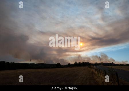 14. August 2026, Nordrhein-Westfalen, Hürtgenwald: Rauchwolken verdunkeln den Himmel über dem Hürtgenwald, während das Feuer dort weiter wütet. Foto: Harald Tittel/dpa Stockfoto