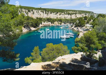 Hochwinkelsicht auf die geschützte Bucht Calanque de Port-Miou, umgeben von Pinien in Cassis, Bouches-du-Rhône, Provence, Frankreich. Stockfoto