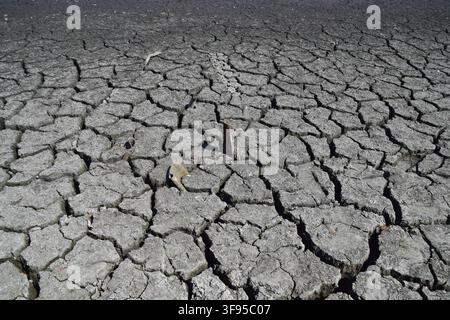 London, UK, 14. August 2026. Ein großer Teil eines Teiches im Wanstead Park trocknet aus, da Trockenheitsbedingungen und Hitzewellen in Teilen des Vereinigten Königreichs anhalten. Credit: Vuk Valcic/Alamy Live News Stockfoto