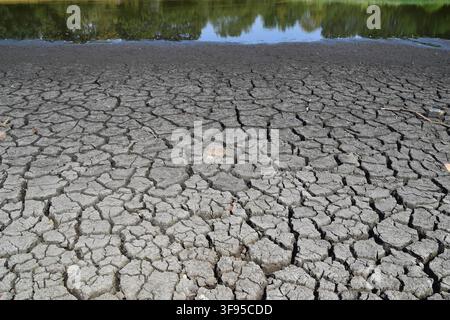London, UK, 14. August 2026. Ein großer Teil eines Teiches im Wanstead Park trocknet aus, da Trockenheitsbedingungen und Hitzewellen in Teilen des Vereinigten Königreichs anhalten. Credit: Vuk Valcic/Alamy Live News Stockfoto
