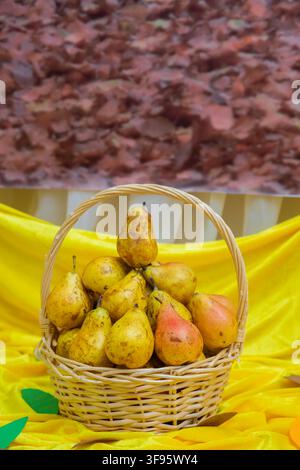 Texturierter Hintergrund aus getrockneten roten und braunen Herbstblättern. Lebendige, farbenfrohe Erntestillleben, perfekt für saisonale Dekoration. Rustikischer Weidenkorb mit Stockfoto