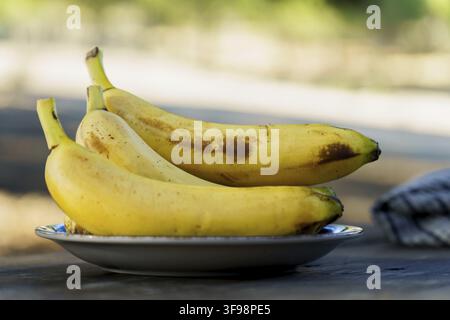 Drei reife gelbe Bananen mit braunen Flecken auf einem weißen Teller auf einem Holztisch im Freien, bereit für einen gesunden Snack Stockfoto