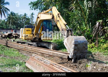 Bagger arbeitet auf einer tropischen Baustelle Stockfoto