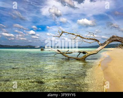 Die Landschaft der Andamanen und Nikobaren ist ein tropisches Paradies mit üppigen grünen Regenwäldern, schroffen Hügeln, weißen Sandstränden und klarem türkisfarbenem Wasser. Stockfoto