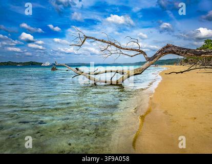 Die Landschaft der Andamanen und Nikobaren ist ein tropisches Paradies mit üppigen grünen Regenwäldern, schroffen Hügeln, weißen Sandstränden und klarem türkisfarbenem Wasser. Stockfoto