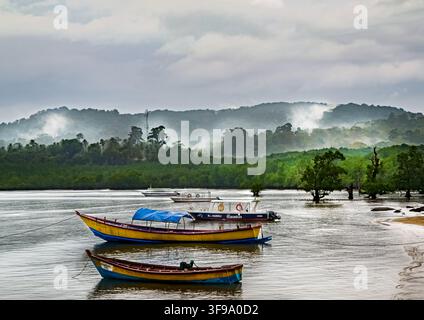 Die Landschaft der Andamanen und Nikobaren ist ein tropisches Paradies mit üppigen grünen Regenwäldern, schroffen Hügeln, weißen Sandstränden und klarem türkisfarbenem Wasser. Stockfoto