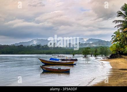 Die Landschaft der Andamanen und Nikobaren ist ein tropisches Paradies mit üppigen grünen Regenwäldern, schroffen Hügeln, weißen Sandstränden und klarem türkisfarbenem Wasser. Stockfoto