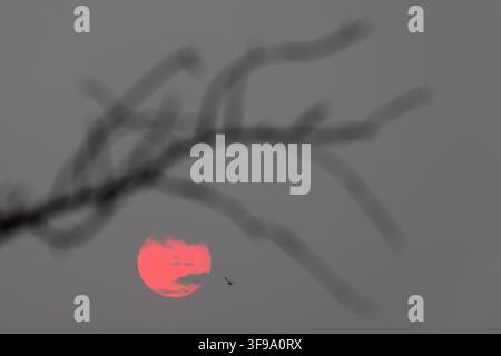 Aachen, Deutschland. 15. Aug., 2026. Die aufgehende Sonne verschwindet in den Wolken über dem Wettgelände der Weltreiterspiele. Credit: Rolf Vennenbernd/dpa/Alamy Live News Stockfoto
