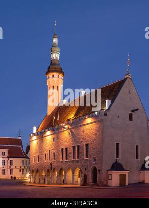 Das historische Rathaus von Tallinn (Tallinna raekoda) auf dem Rathausplatz in der estnischen Hauptstadt bei Nacht. Stockfoto