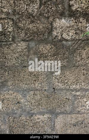 Alte verwitterte Betonblockwand mit rauer, moosiger Textur als Hintergrund Stockfoto