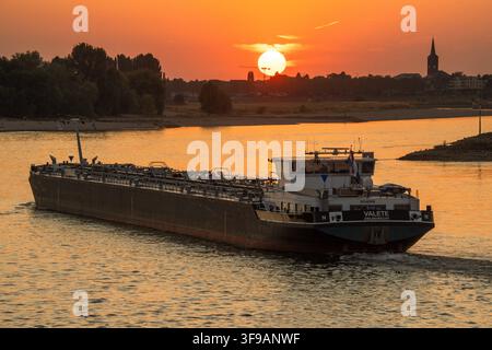 Das niederländische Motortankschiff Valete fährt bei Sonnenuntergang über den Rhein, Düsseldorf, 14. August 2026 Deutschland, Düsseldorf, 14. August 2026, das niederländische Motortankschiff Valete fährt bei Sonnenuntergang über den Rhein, der 135 Meter lange Tanker der Vario Shipping Group aus Zwijndrecht kann rund 4.000 Tonnen Ladung transportieren, durch die anhaltende Trockenheit ist der Pegelstand des Rheins auf Rekord-Niedrigniveau gefallen, schönes Wetter, Hochsommer, Hitzewelle, Sommer, Sommerabend, Nordrhein-Westfalen, NRW, *** Das niederländische Motortankschiff Valete fährt bei Sonnenuntergang über den Rhein Stockfoto
