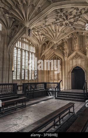 Oxford, Vereinigtes Königreich - 24. Juli 2026: Blick auf das historische Innere der Divinity School der Universität Oxford mit aufwendiger Steinplattendecke Stockfoto