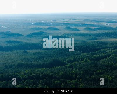 Luftbild des Kemeri-Sumpfes mit bewaldeten Inseln, die über die weite Feuchtgebietslandschaft mit alten Dünen und dichten Kiefernwäldern in Valgunde aufragen Stockfoto