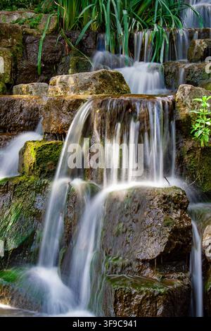Nahaufnahme eines stufenförmigen Kaskadenwassfalls, der über moosbedeckte Felsen fließt und von üppiger Vegetation in einer Gartenumgebung umgeben ist. Stockfoto