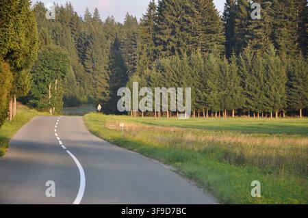 Eine gepflasterte Straße, die durch einen dichten Wald mit Bergen im Hintergrund in der Region Gorski Kotar in Kroatien, Europa, verläuft Stockfoto