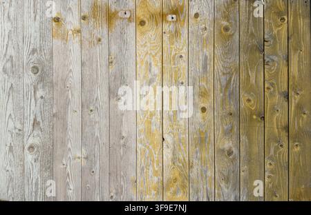 Alte vertikale Holzbretter bilden einen rustikalen strukturierten Hintergrund mit sichtbaren Astlöchern, Maserung und abblätterndem weißem, gelbem und braunem Anstrich Stockfoto