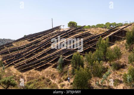 Reihen von Solarpanelen sind auf einem steilen, trockenen Hang installiert, umgeben von spärlicher Vegetation und Bäumen, und zeigen erneuerbare Energieinfrastruktur Stockfoto