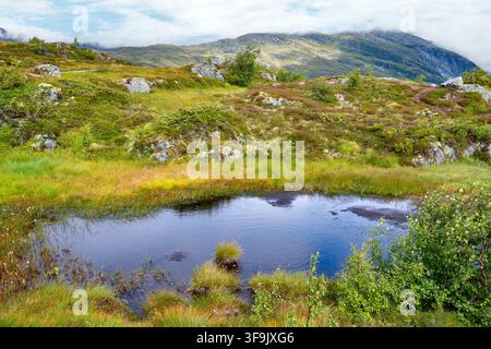 Teich an der Spitze der Voss Gondel, Vossevangen, Norwegen Stockfoto
